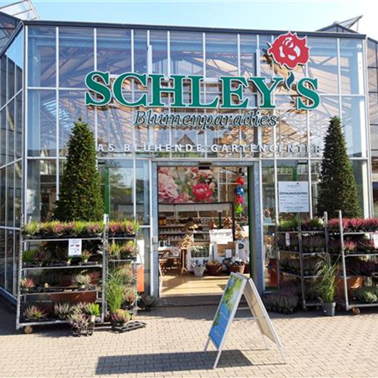 Kontakt Schley's Blumenparadies Bellandris Gartencenter Schley