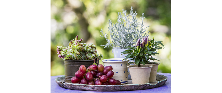 herbst_2015.jpg