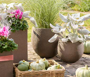 Der Herbst ist da!