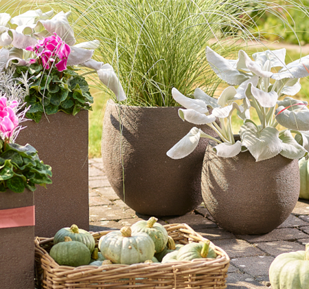 Der Herbst ist da!