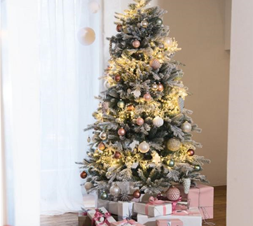 Oh Tannenbaum: Finde den Richtigen