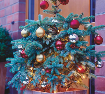 Traumhafte Last-Minute-Geschenke