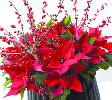 Tolle Sträuße und Pflanzideen zum Fest