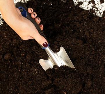 Allgemeine Gartenarbeit im März