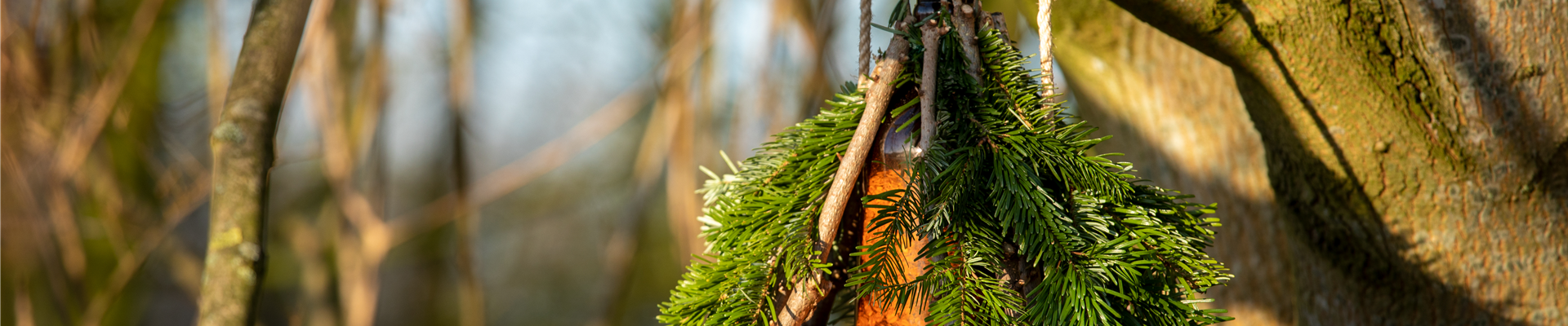 Ein Vogelhaus aus dem Tannenbaum bauen (Thumbnail) Ein Vogelhaus aus dem Tannenbaum bauen (Thumbnail)