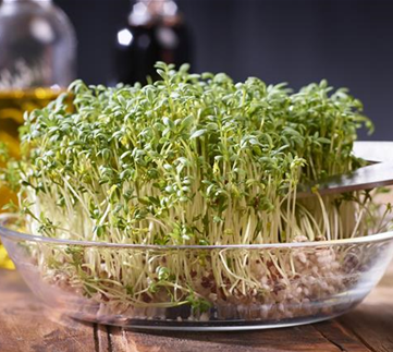 Vitaminbomben auf Brot