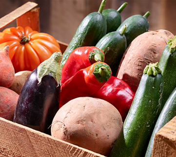 OMAS SUPERFOODS - GUT FÜRS IMMUNSYSTEM