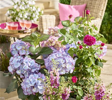Terrasse & Balkon im Juni