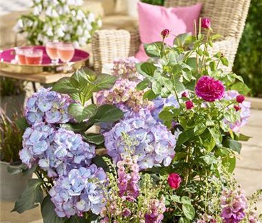 Terrasse & Balkon im Juni