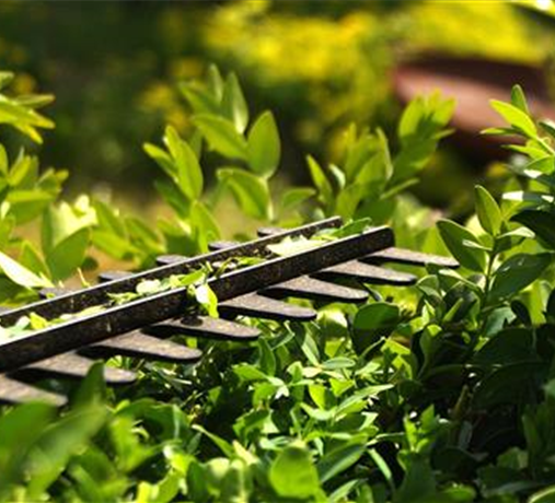 Allgemeine Gartenarbeit