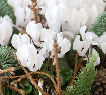 Florale Geschenkideen