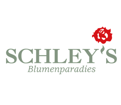 Allgemeine Gartenarbeit im Januar