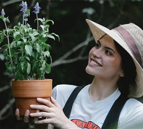 Gärtnerin/Gärtner (m/w/d) in Velbert für die Beet-& Balkonabteilung