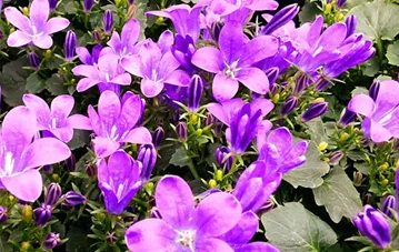 20220208_132753.jpg
