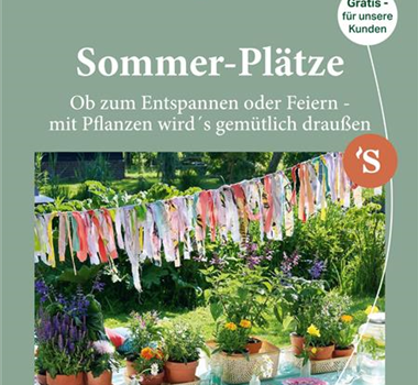 Schley´s Magazin im Sommer