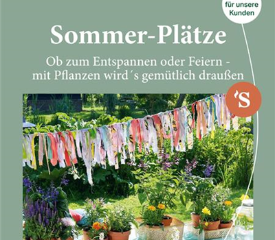 Schley´s Magazin im Sommer