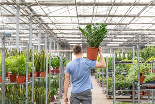 Aushilfskraft (m/w/d) für den Servicebereich Bochum-Wattenscheid (Packerin/Packer)