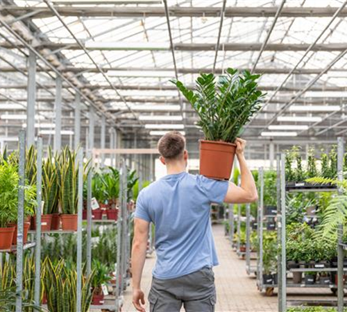 Aushilfskraft (m/w/d) für den Servicebereich Bochum-Wattenscheid (Packerin/Packer)