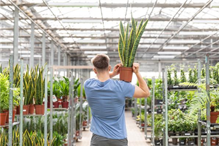 Teilzeitkraft für die Boutique/Geschenkartikel (m/w/d) Velbert