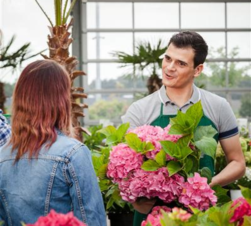 Gärtner/in für die Baumschul- oder Staudenabteilung(m/w/d) in Bochum