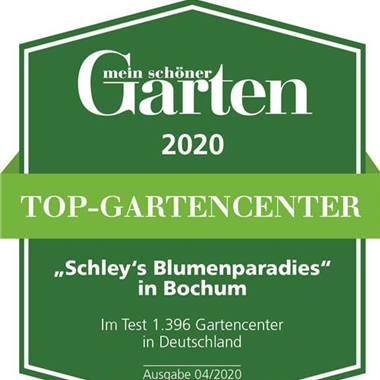 Testsiegel_Schleys_Bochum.jpg