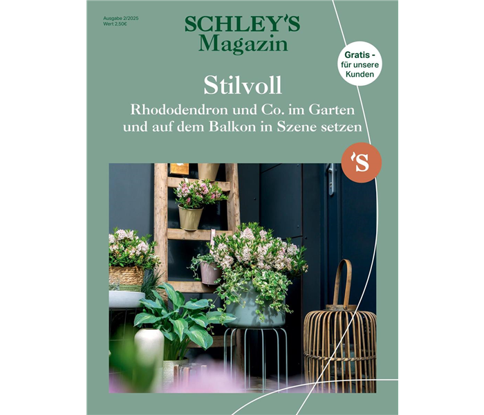 SchleyBo_Kundenmagazin_02-2025_Titel_Page_1.jpeg SchleyBo_Kundenmagazin_02-2025_Titel_Page_1.jpeg