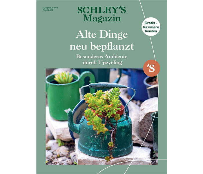 SchleyBo_LS251075_Kundenmagazin_04-2025_210x280mm_Page_1.jpeg
