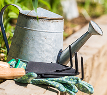 Allgemeine Gartenarbeit im August