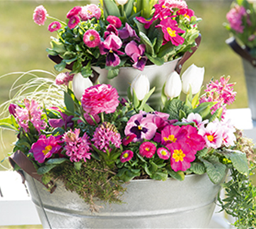 Terrasse & Balkon im April