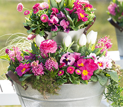 Terrasse & Balkon im April