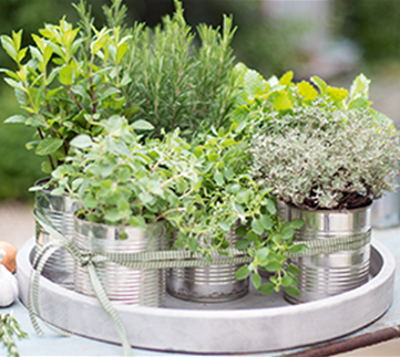 Gemüse-, Kräuter- und Obstgarten im April