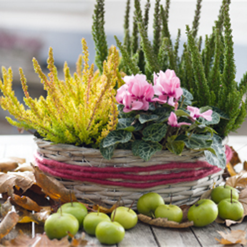 Terrasse &amp; Balkon im November