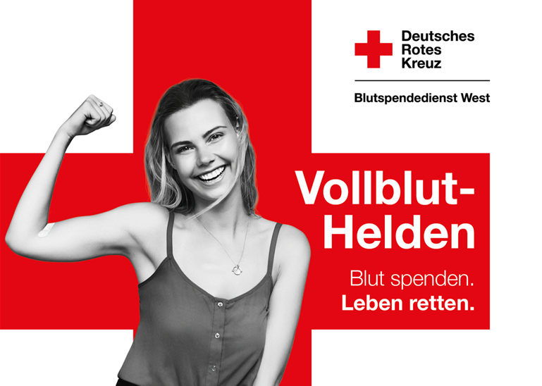 Vollbluthelden Ohne Textfeld.png