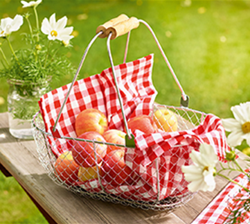 Gemüse-, Kräuter- und Obstgarten im September