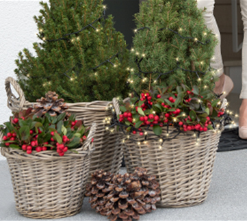 Terrasse & Balkon im Dezember