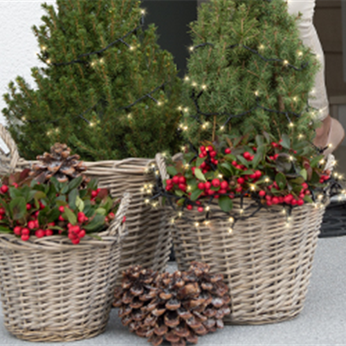 Terrasse &amp; Balkon im Dezember