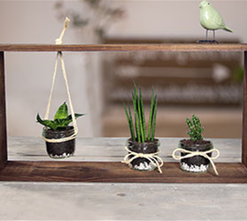 Deko mit Sukkulenten & Kakteen