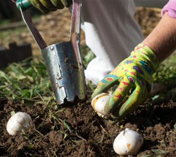 Ziergarten im Oktober