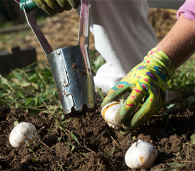 Ziergarten im Oktober