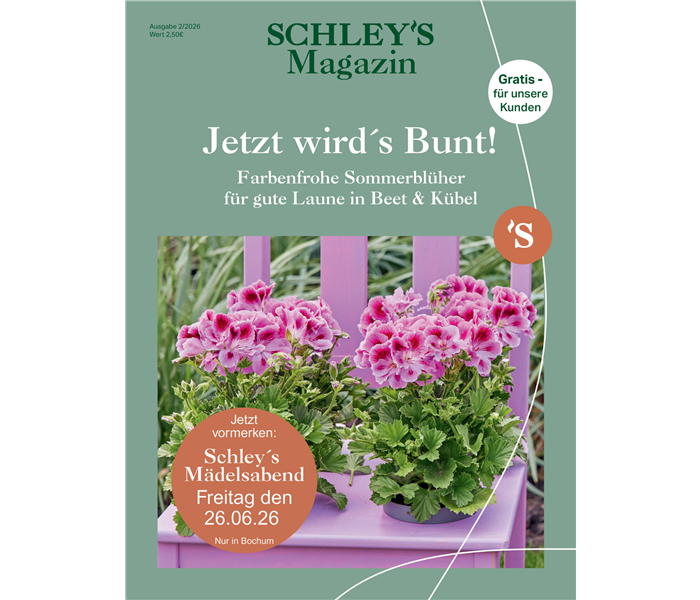 SchleyBo_LS260203_Kundenmagazin_02-2026_210x280mm_Page_1.png