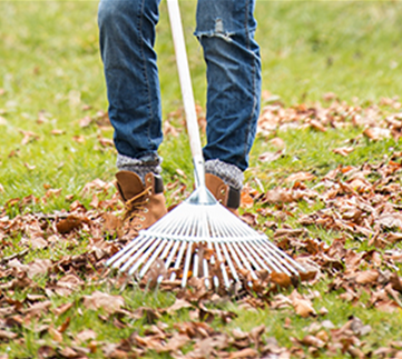 Allgemeine Gartenarbeit im Juli