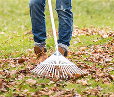 Allgemeine Gartenarbeit im Juli