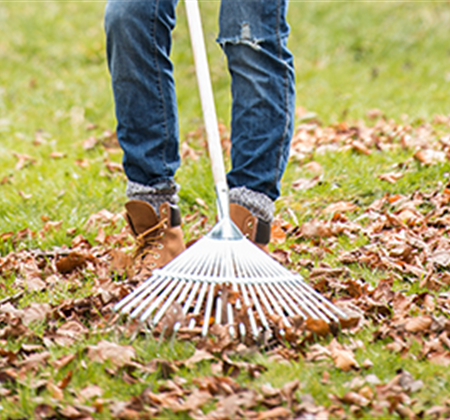 Allgemeine Gartenarbeit im Juli
