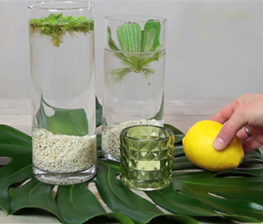 Erfrischende Wasserdeko