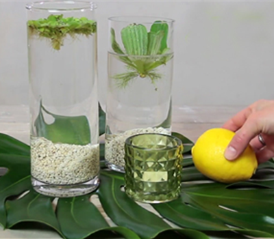 Erfrischende Wasserdeko