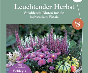 Schley's Magazin - das Herbstheft ist da!