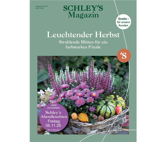 Kundenmagazin_05-2026_Vorderseite.jpeg