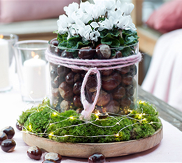 Herbstdeko mit Kastanien