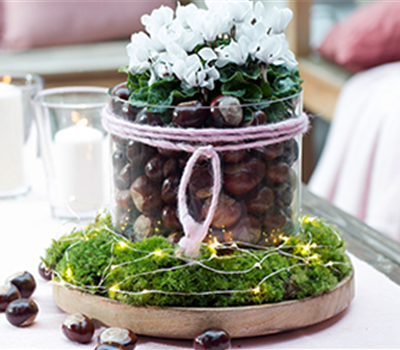 Herbstdeko mit Kastanien