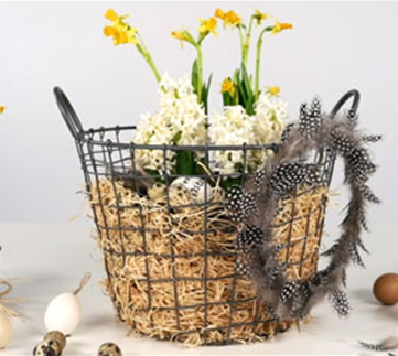 Ostern im Korb